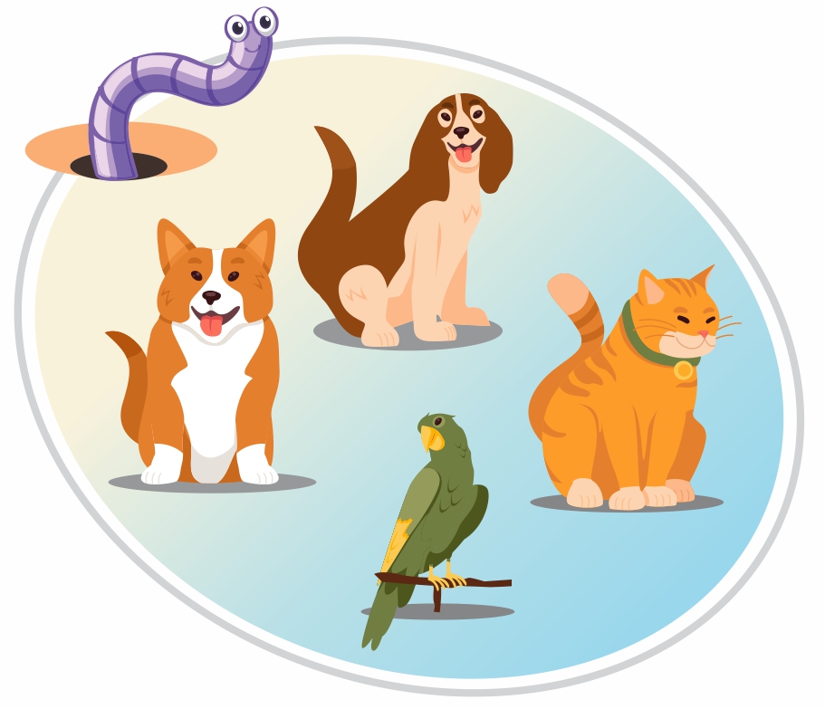 Pet Screwworm Certificate - Los Cabos