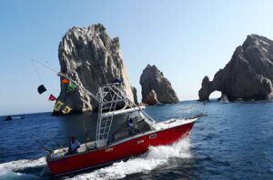 Cabo Sport Fishing