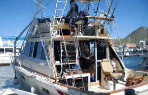 Cabo Sport Fishing