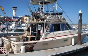 Cabo Sport Fishing