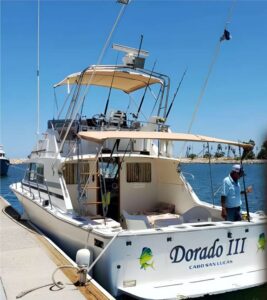 Cabo Sport Fishing