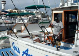 Cabo Sport Fishing