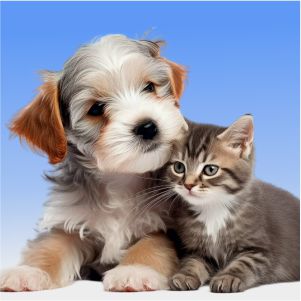 Pet Screwworm Certificate - Los Cabos Pet Screwworm Certificate - Los Cabos